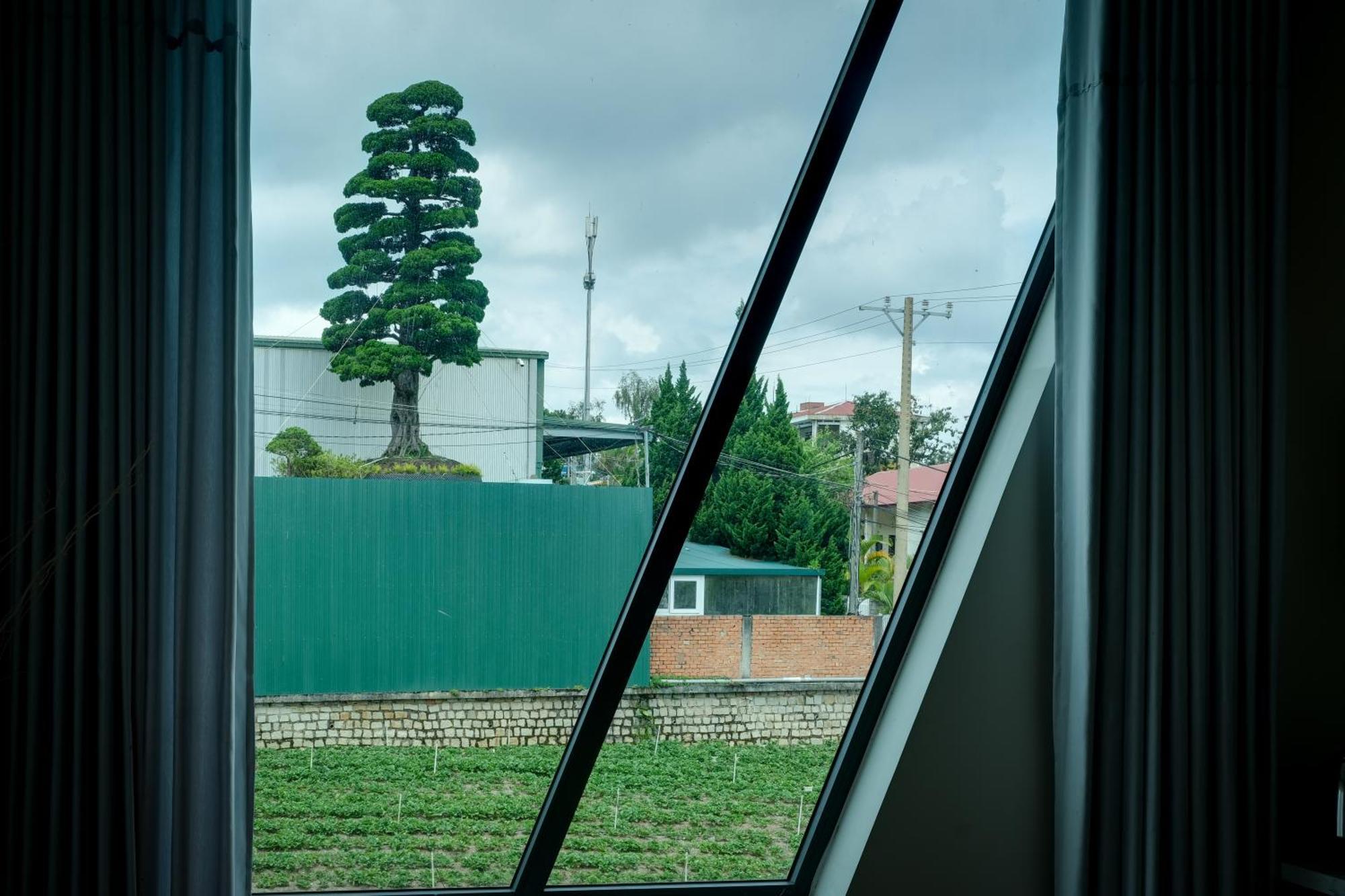 Hanoi Amsterdam Art Studio 大叻 外观 照片